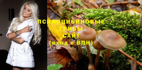 мдпв Белокуриха