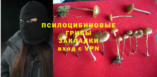 героин Богданович