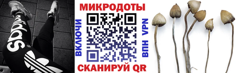 наркота  Кириллов  shop официальный сайт  Псилоцибиновые грибы мухоморы  KRAKEN зеркало 